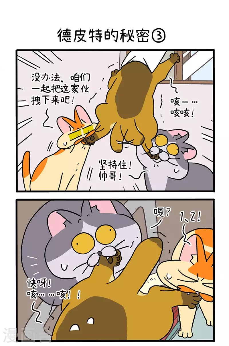 第74话1 德皮特的秘密