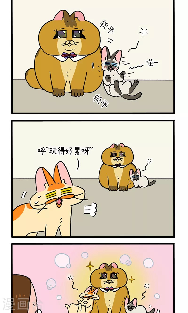 第82话2 猫咪再聚会
