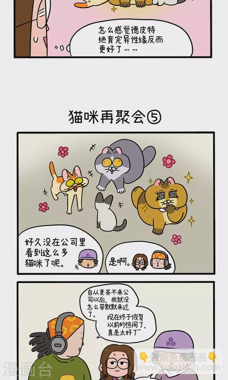 第82话2 猫咪再聚会