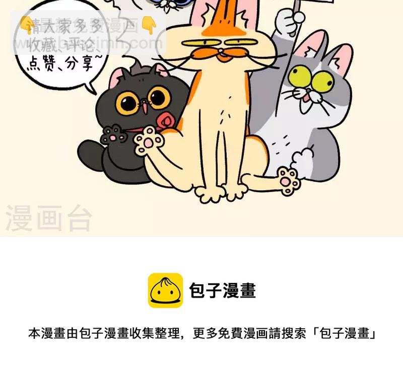 第82话2 猫咪再聚会