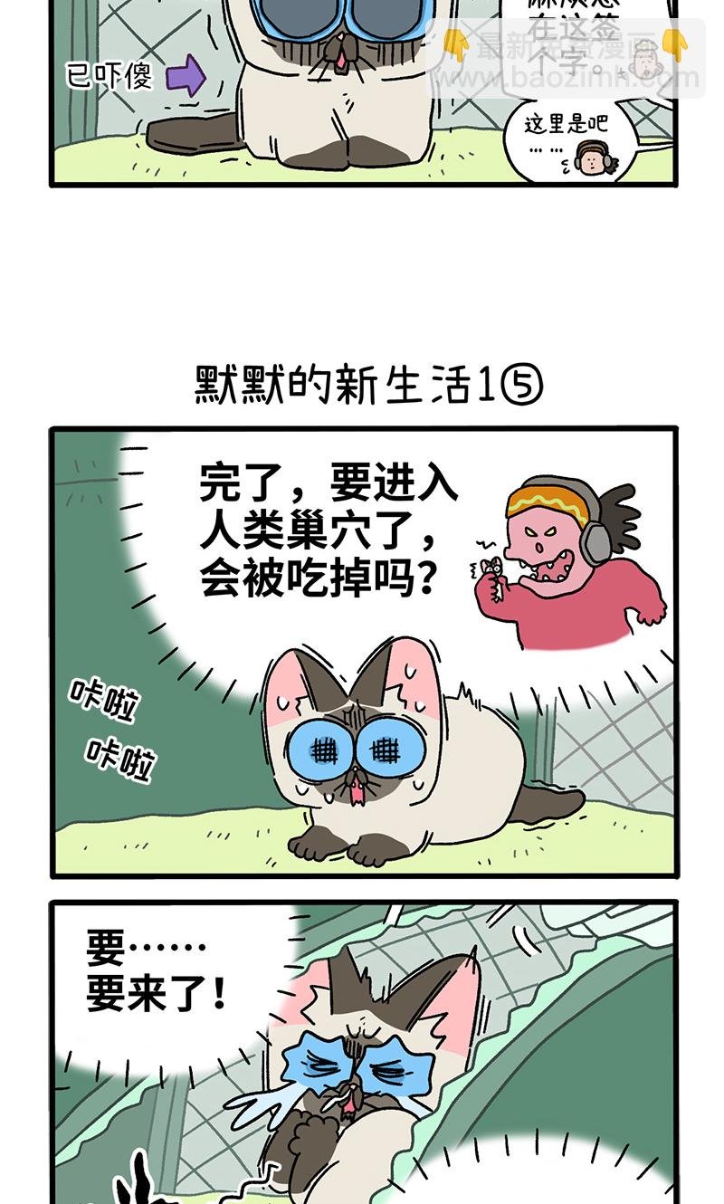番外15下 默默的新生活1