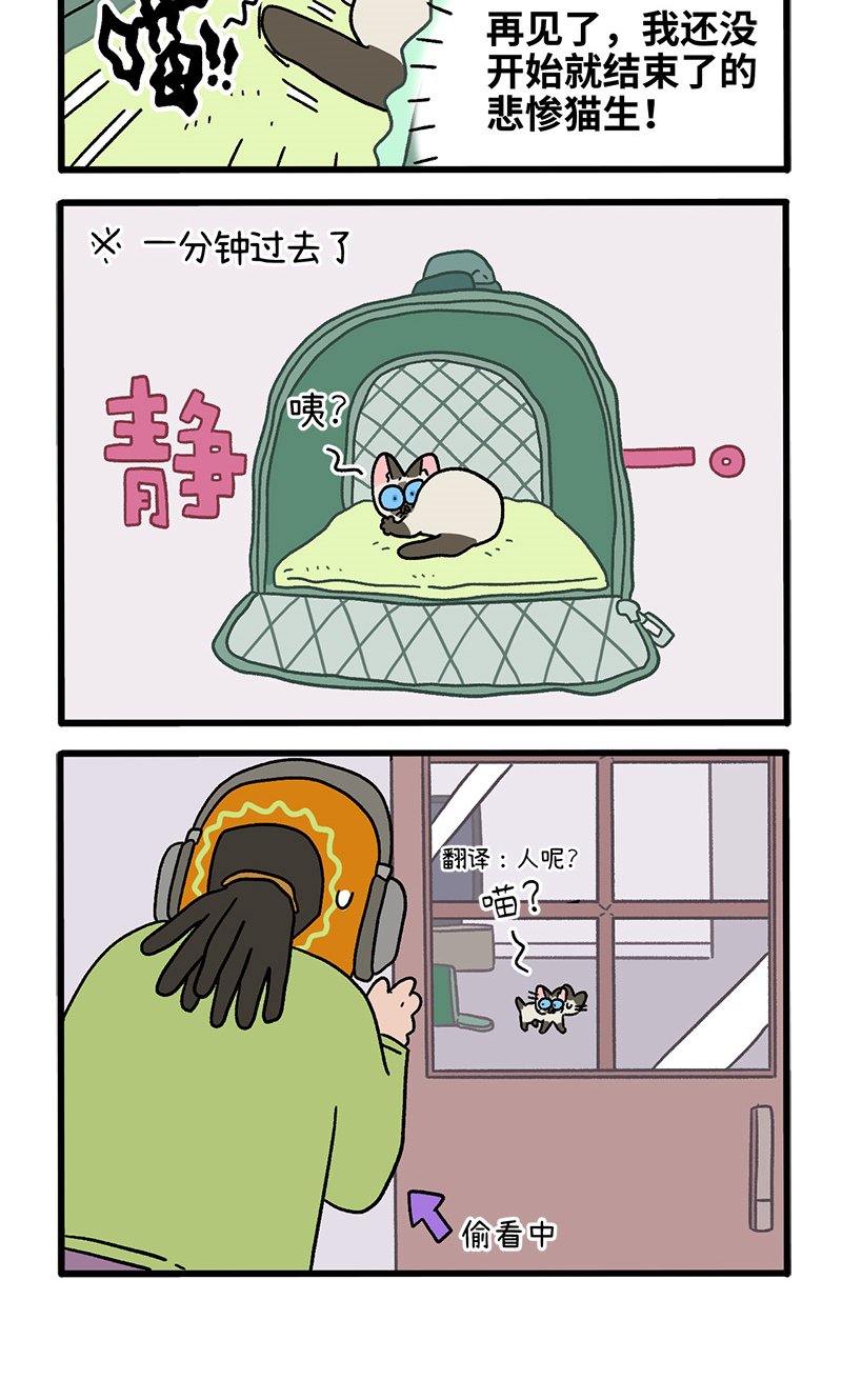 番外15下 默默的新生活1