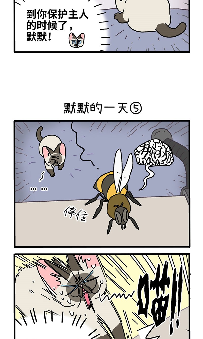 番外17下 默默的一天1