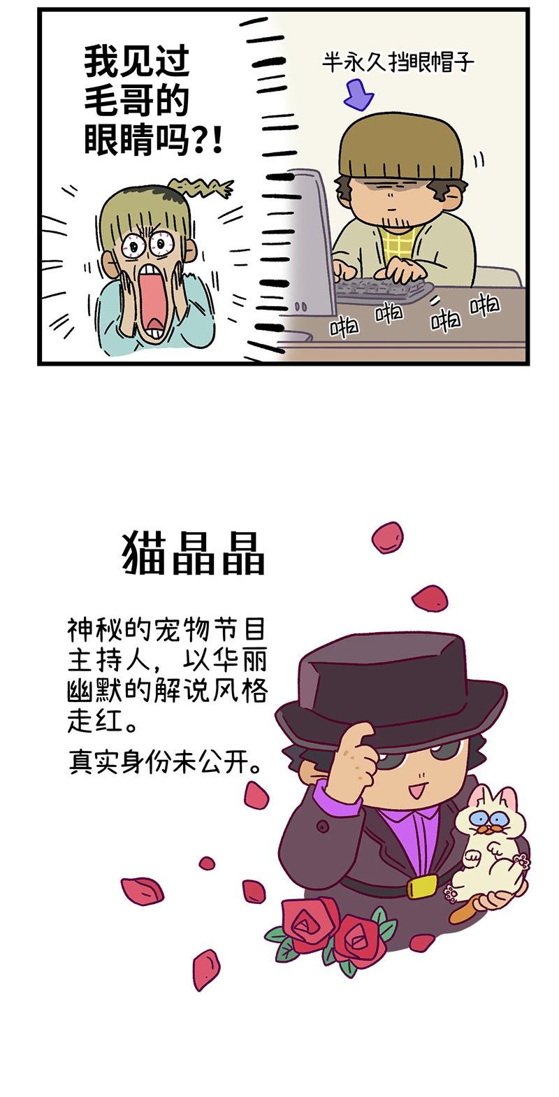 第83话 猫晶晶疑云1