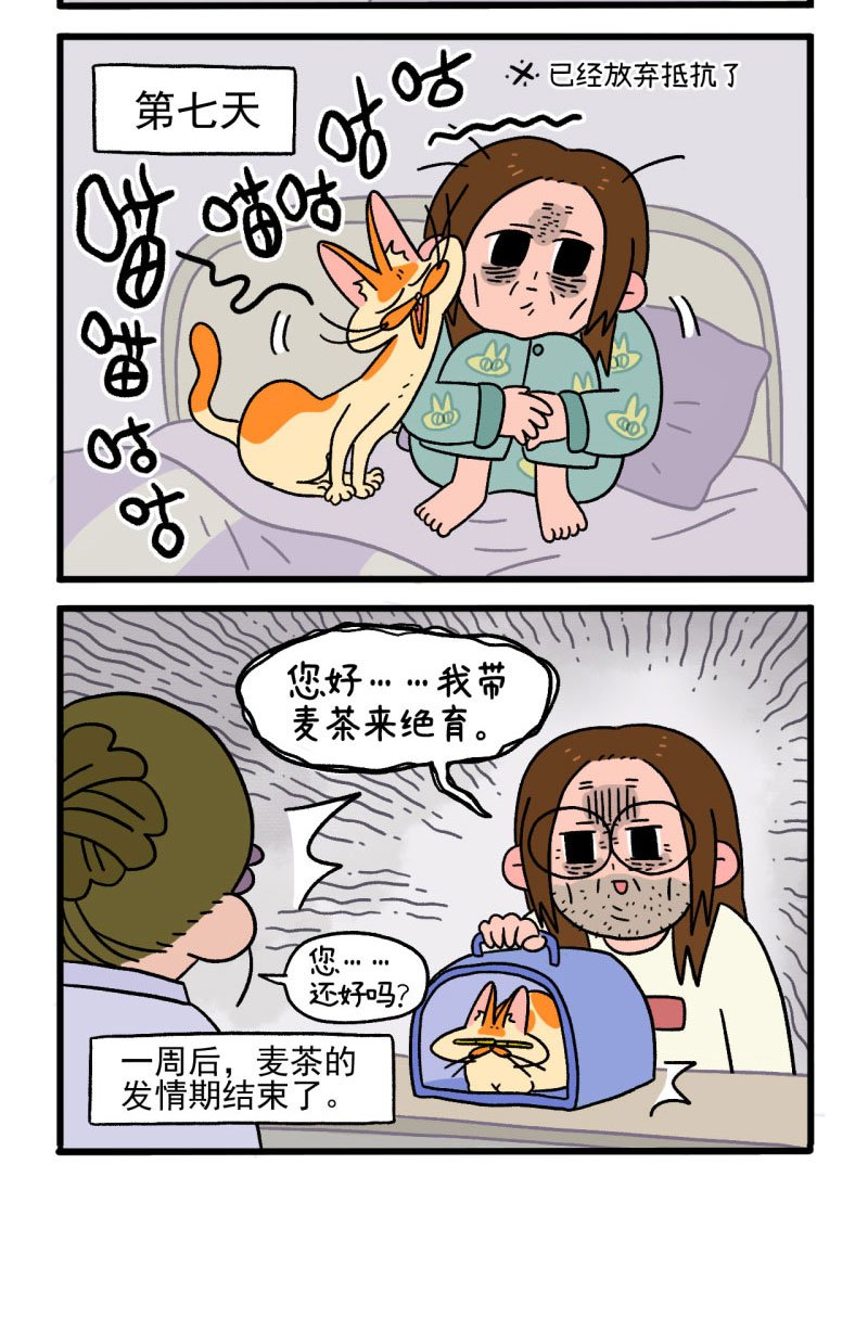 第12话2 夜间噪音