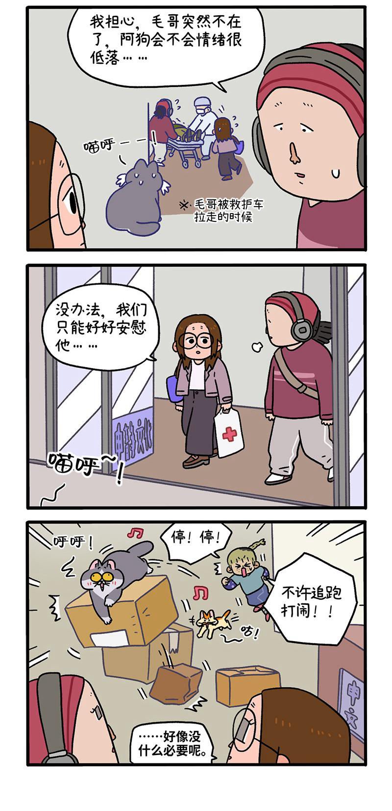 第88话1 阿狗的监护权