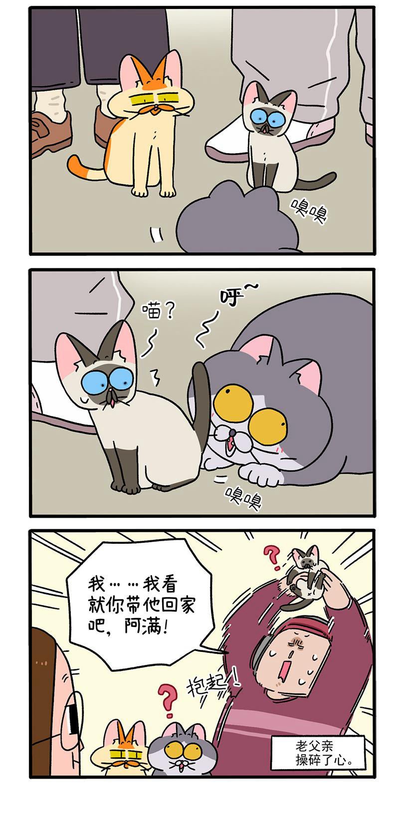 第88话2 阿狗的监护权