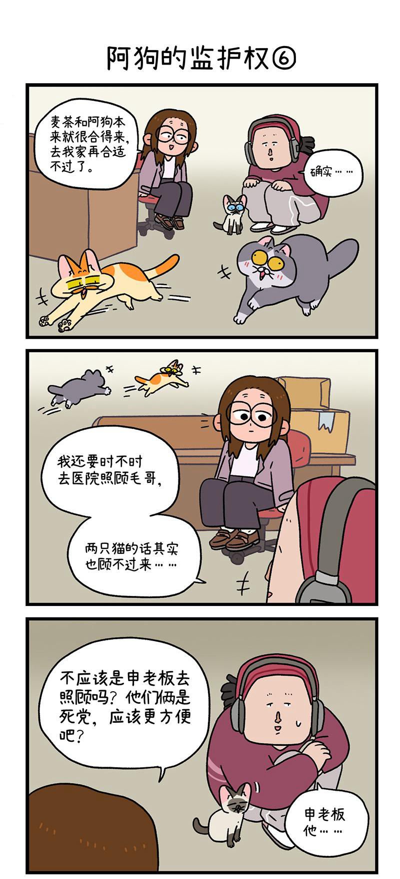 第88话2 阿狗的监护权