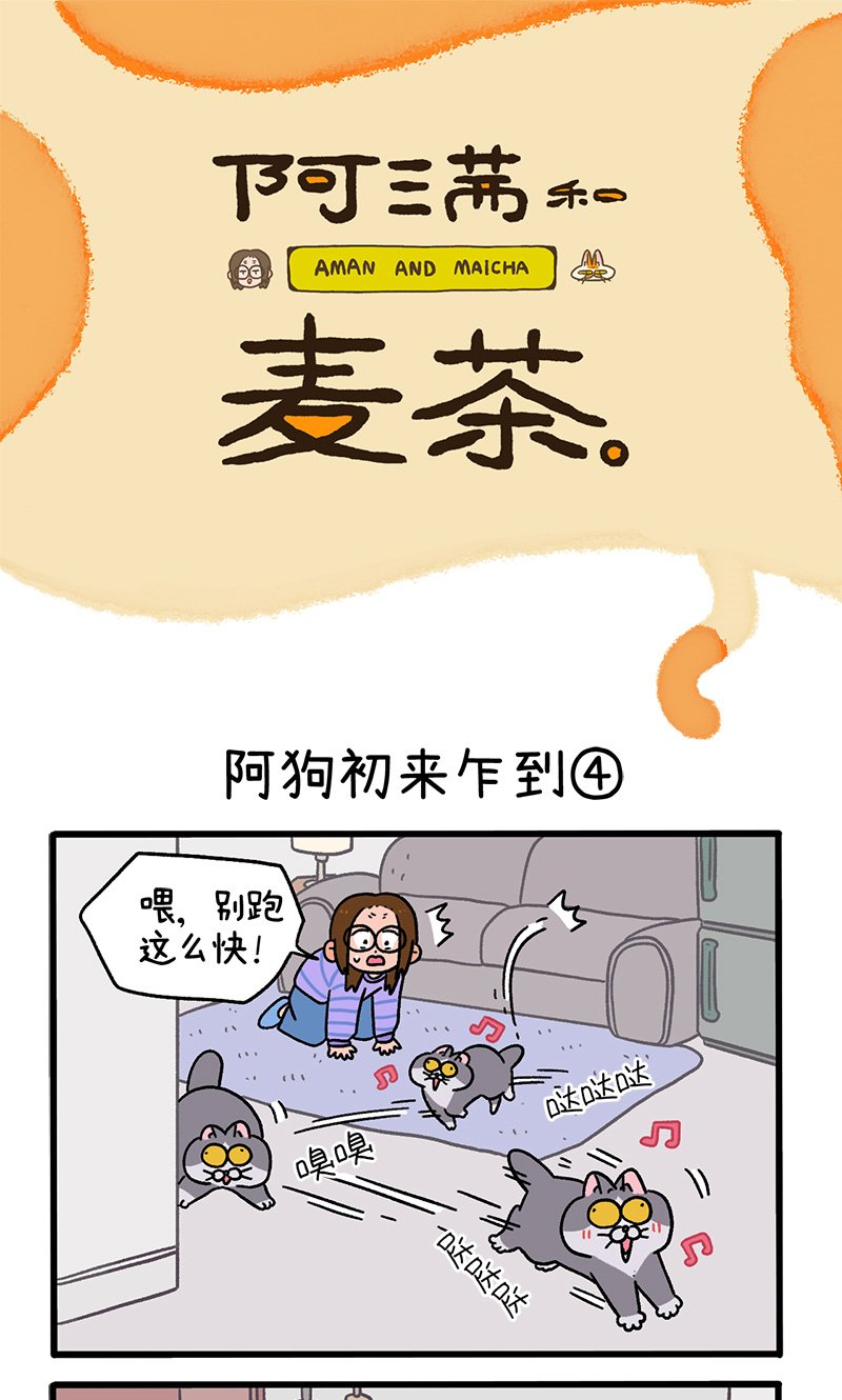 第89话2 阿狗初来乍到