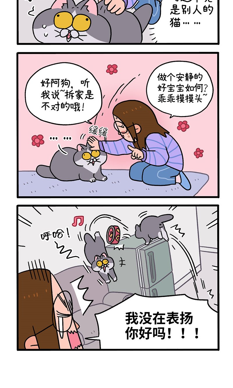 第89话2 阿狗初来乍到