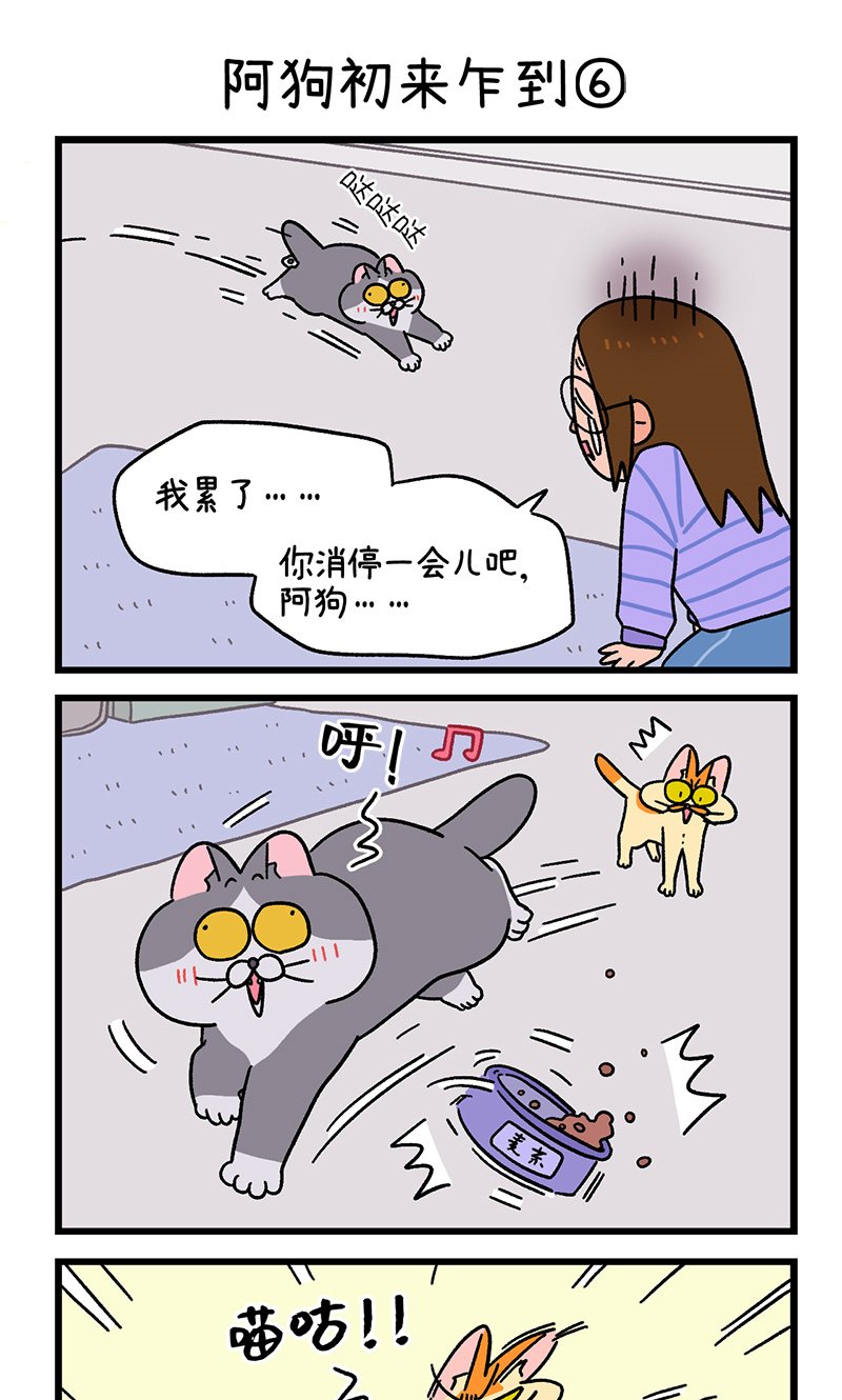第89话2 阿狗初来乍到