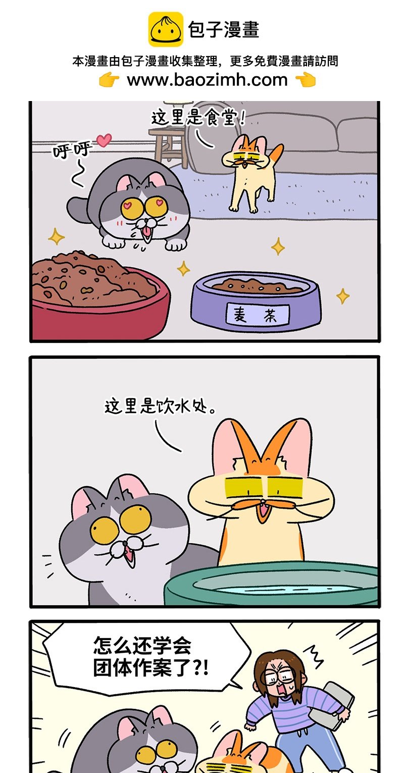 第90话 麦茶待客