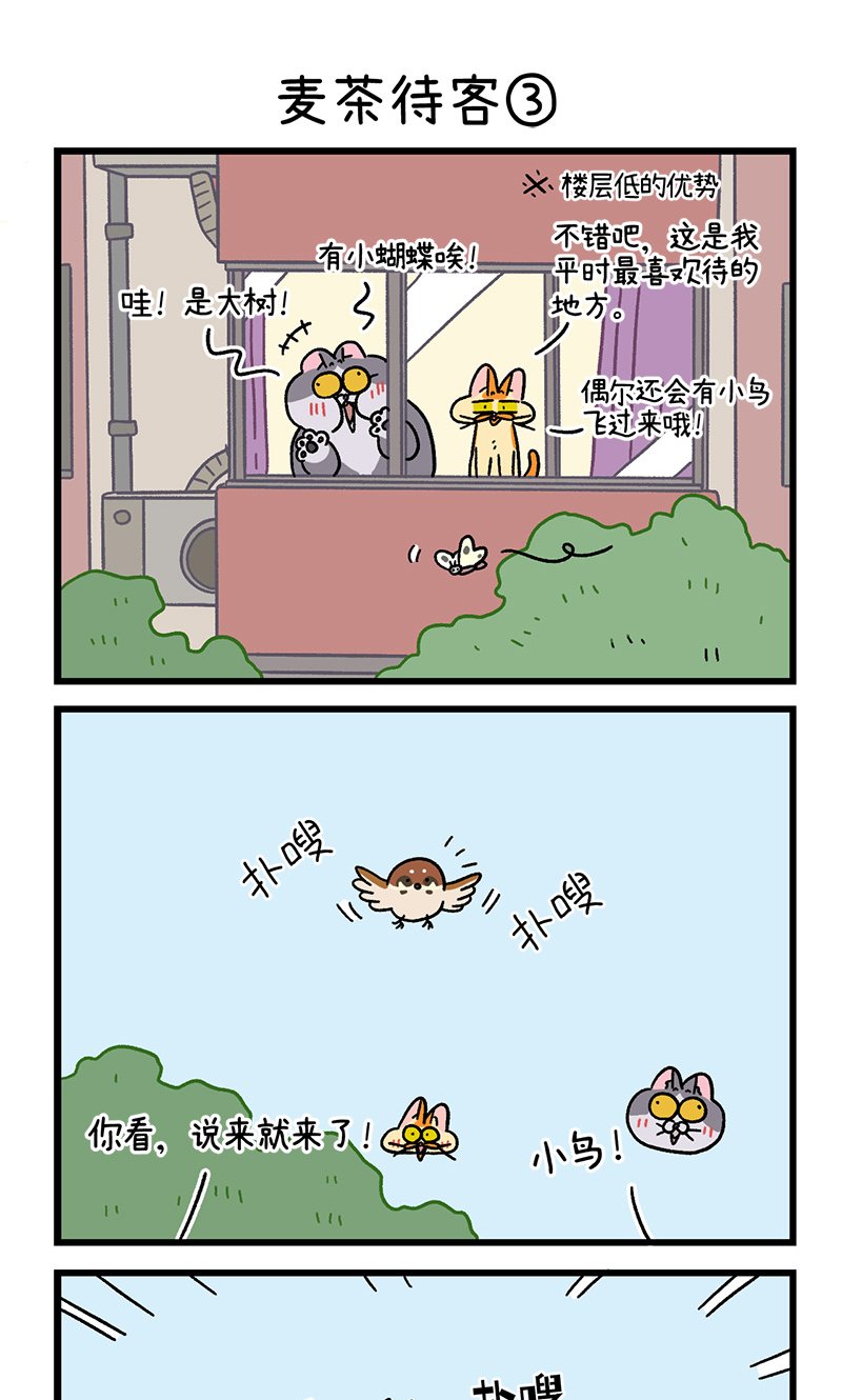 第90话 麦茶待客