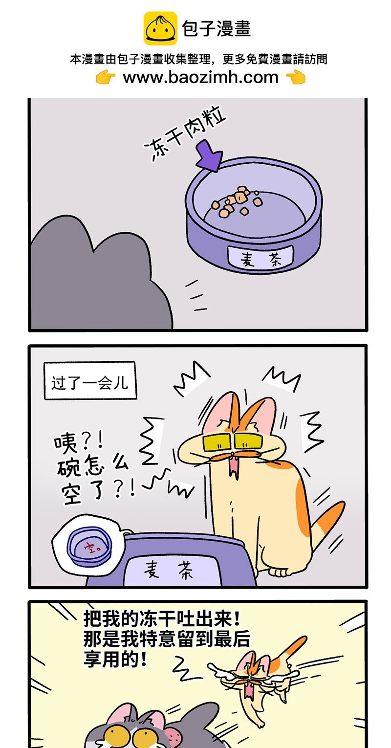 第91话 麦茶的烦恼