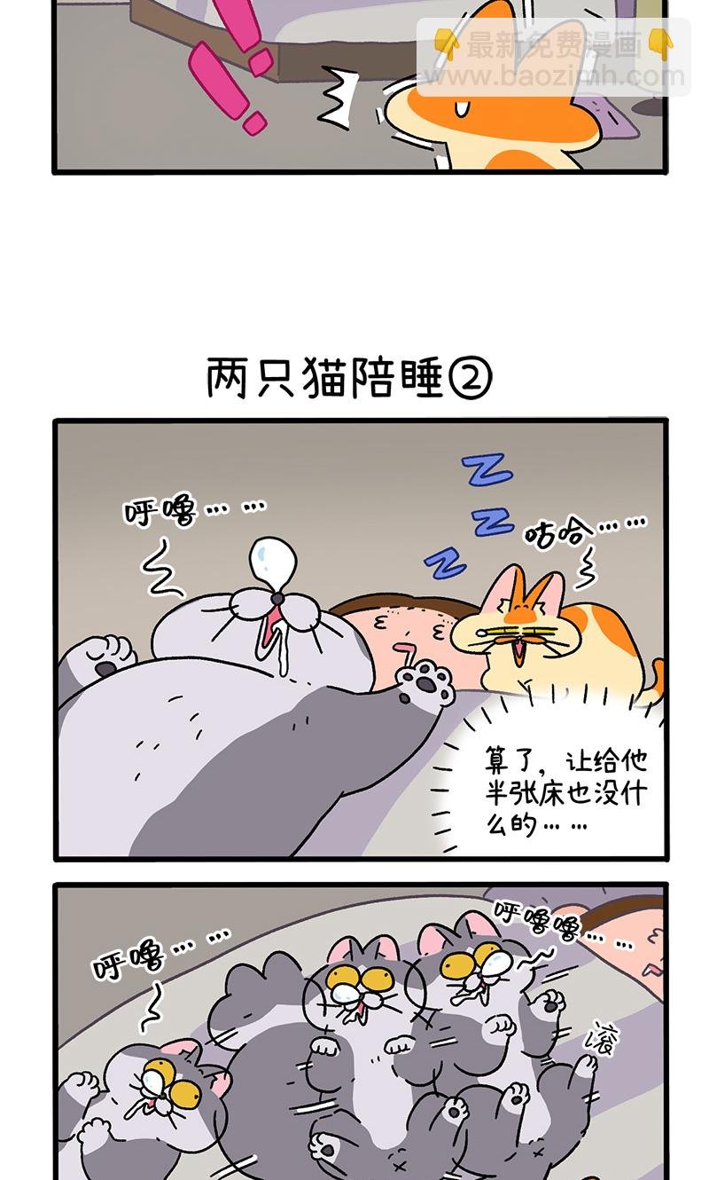 第93话 两只猫陪睡