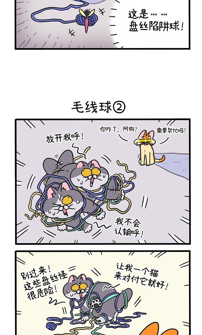 第94话 毛线球