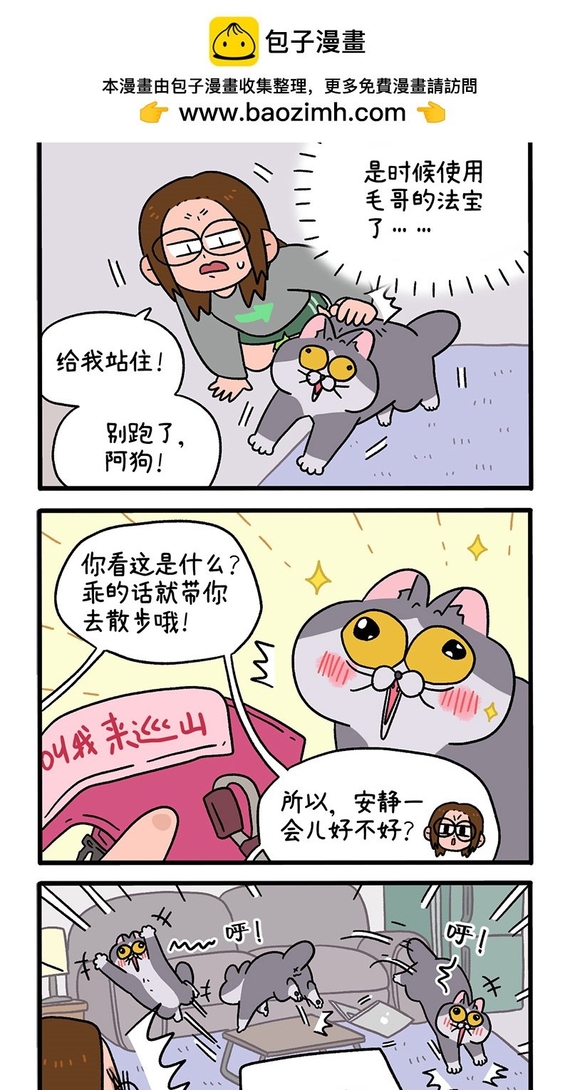 第95话1 遛猫还是遛狗