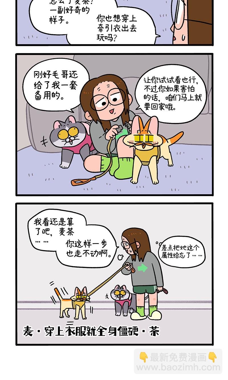 第95话1 遛猫还是遛狗