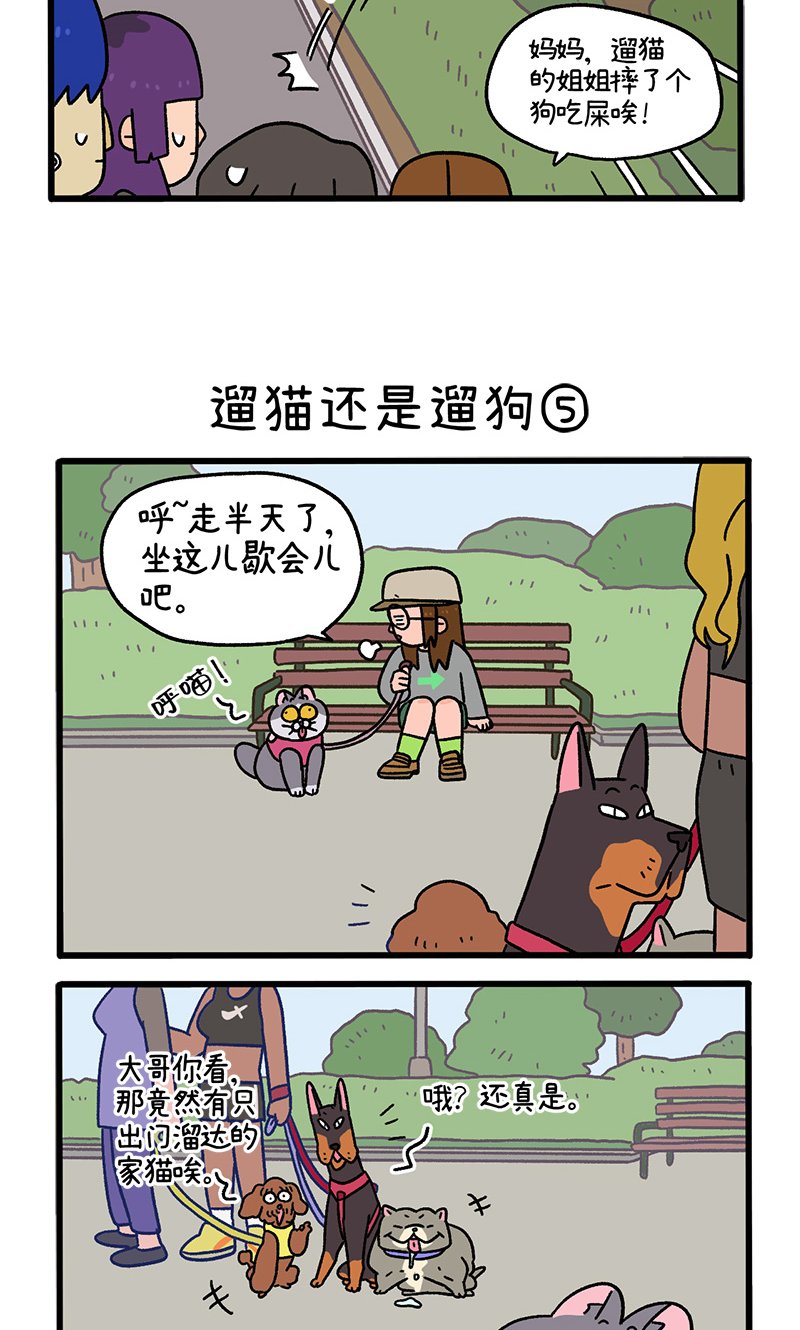 第95话2 遛猫还是遛狗