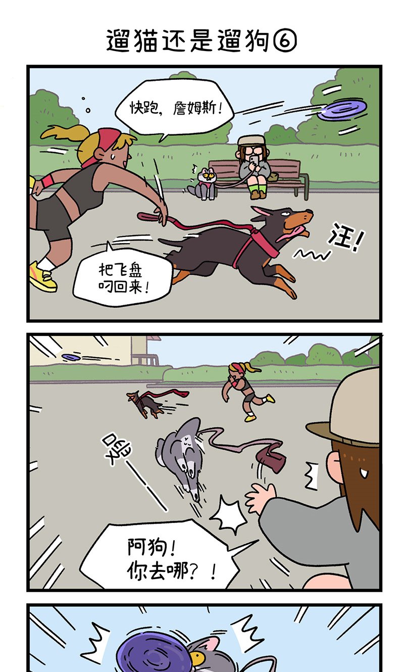 第95话2 遛猫还是遛狗