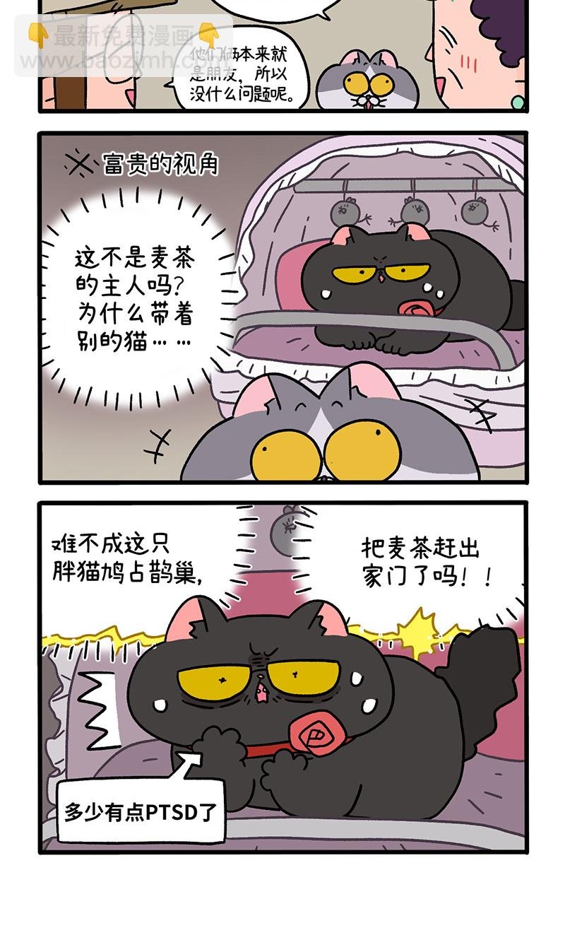 第96话1 再会老朋友