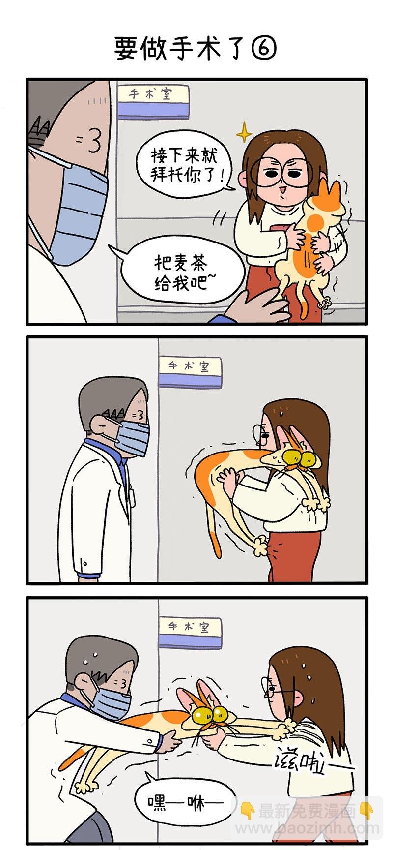 第13话2 要做手术了