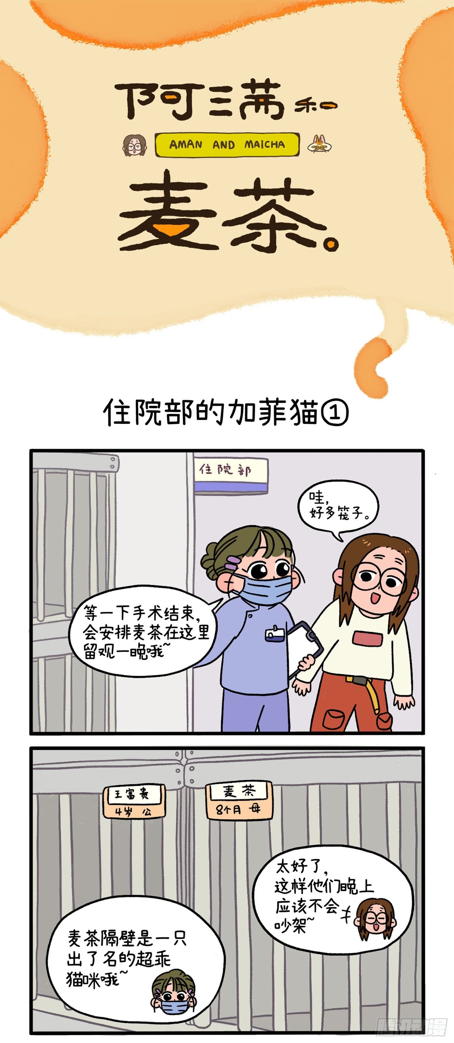 第14话 住院部的加菲猫