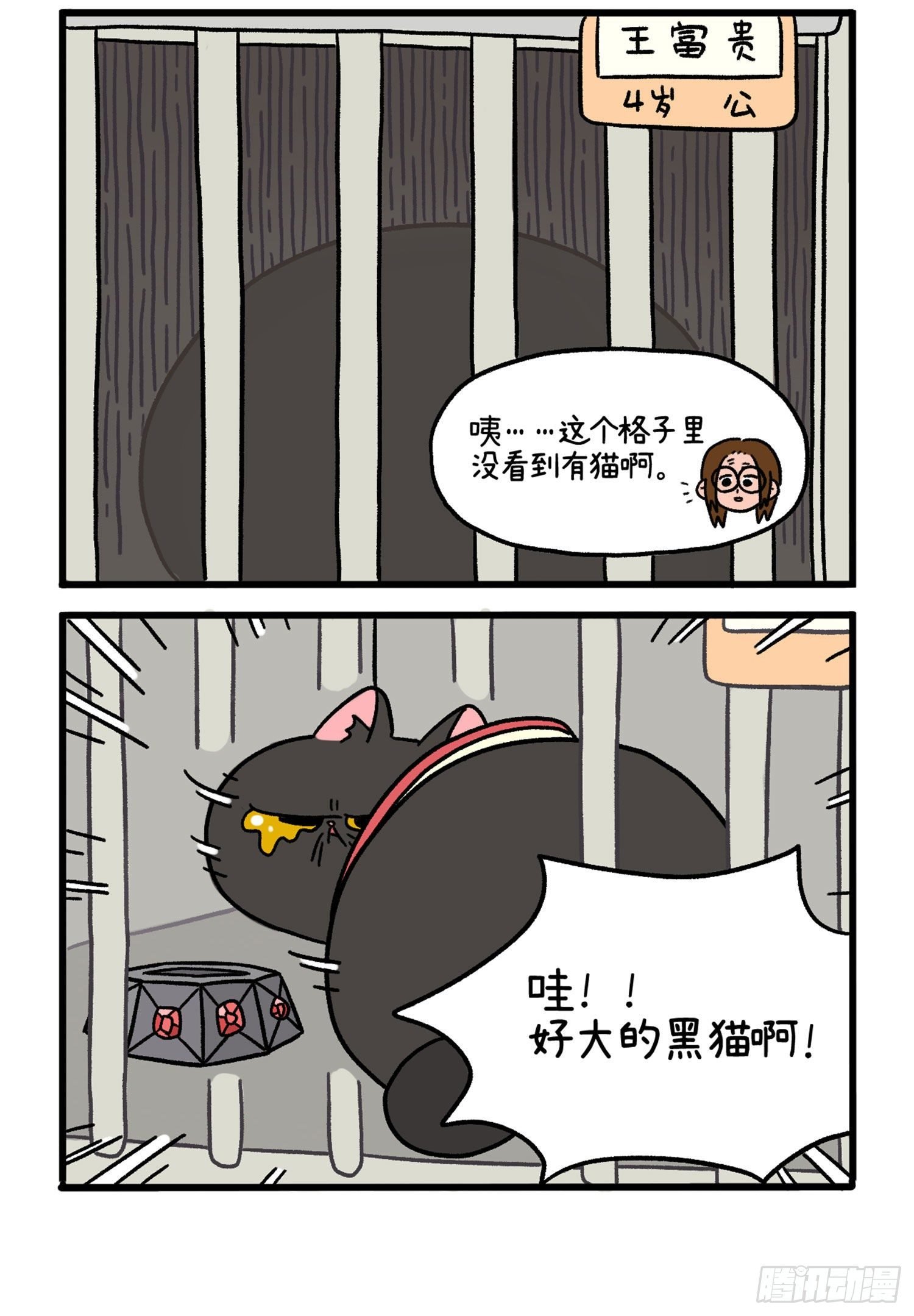 第14话 住院部的加菲猫