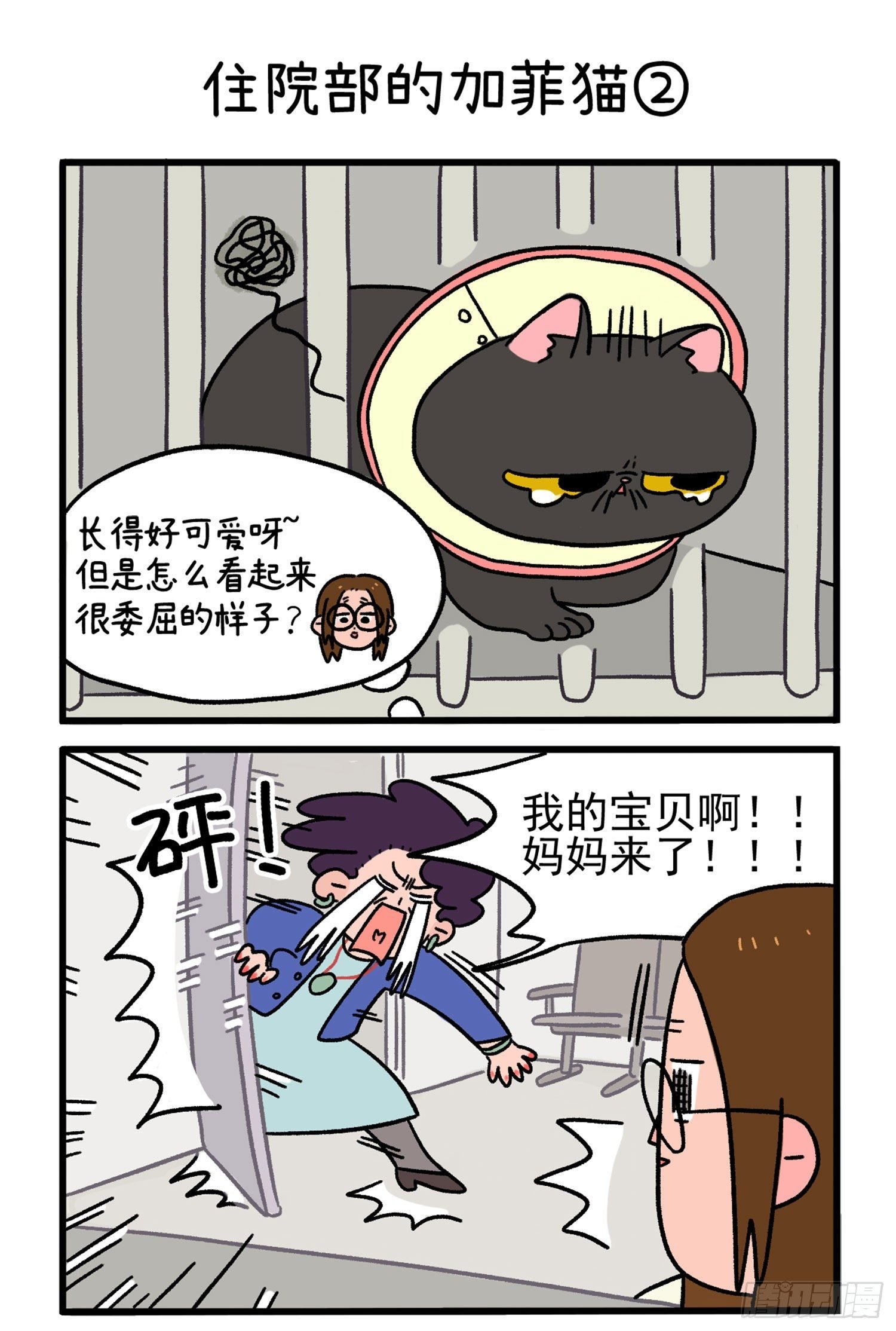 第14话 住院部的加菲猫