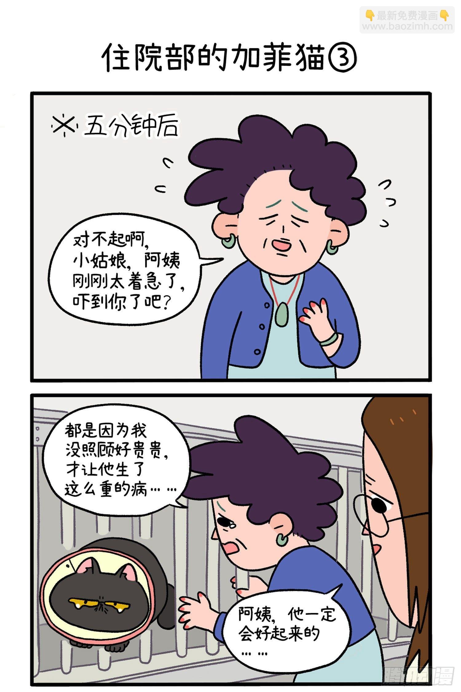 第14话 住院部的加菲猫