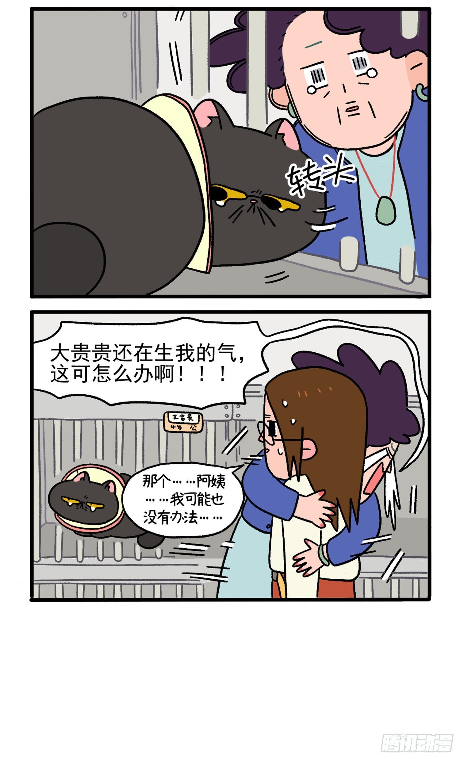 第14话 住院部的加菲猫