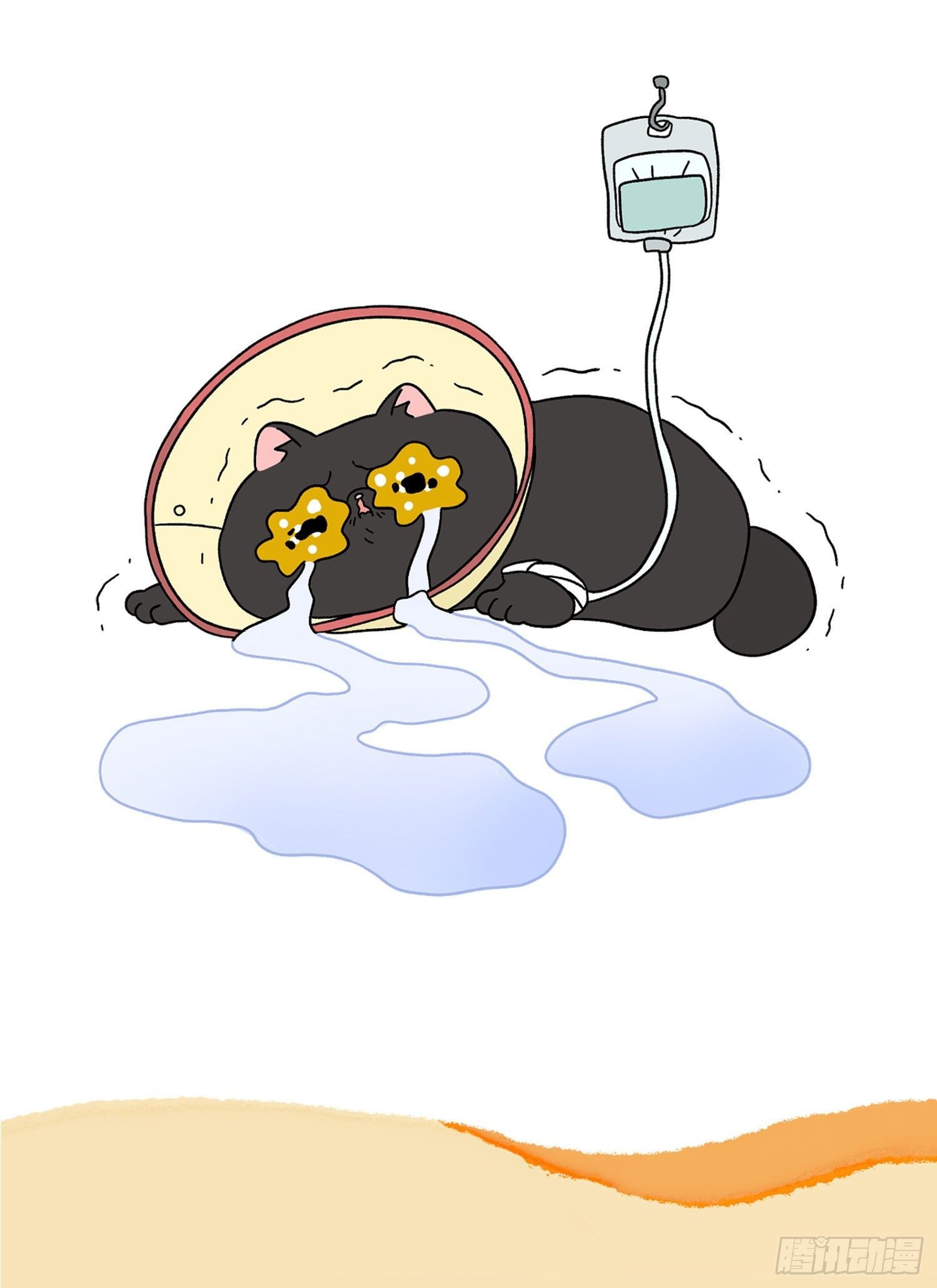 第14话 住院部的加菲猫