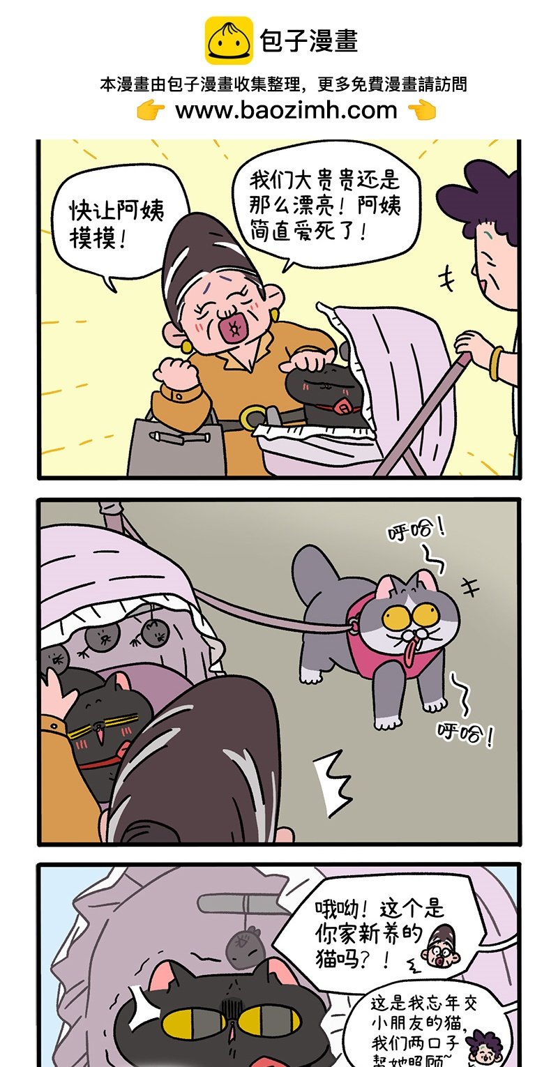 第103话1 球球之魂