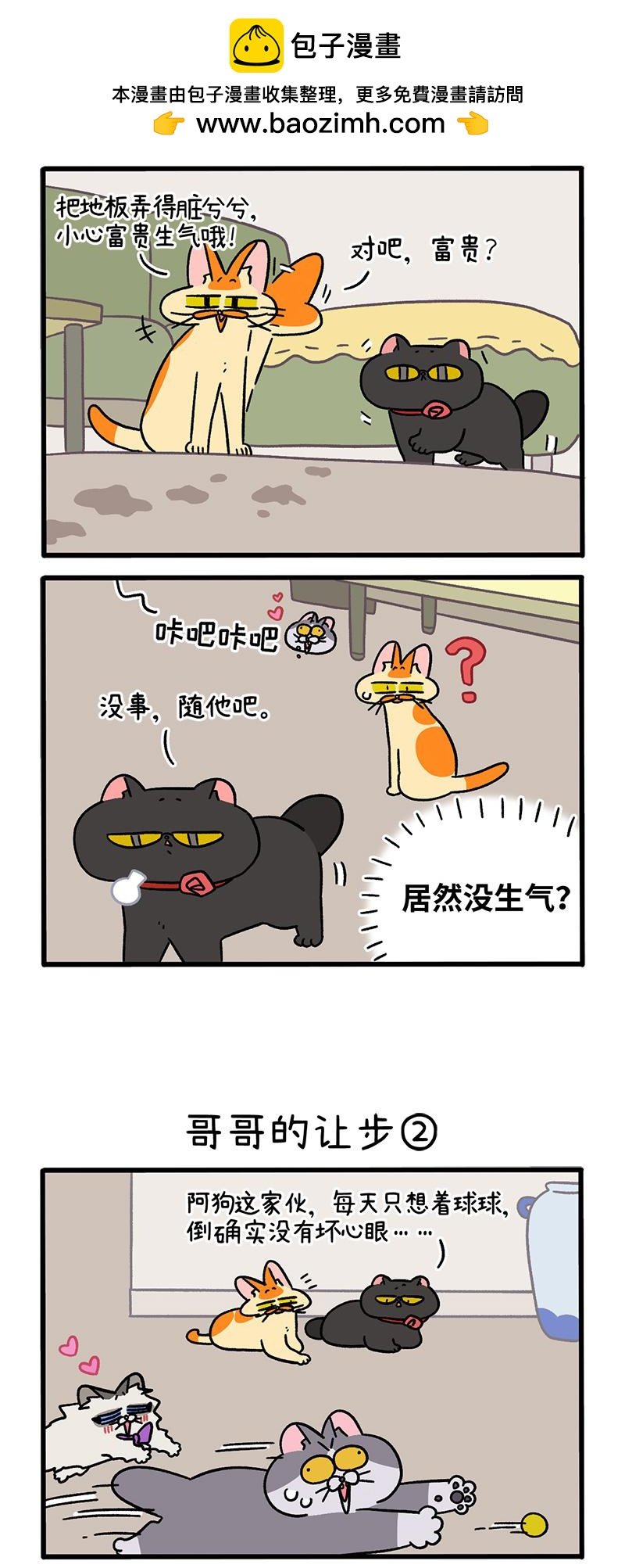 第104话1 哥哥的让步