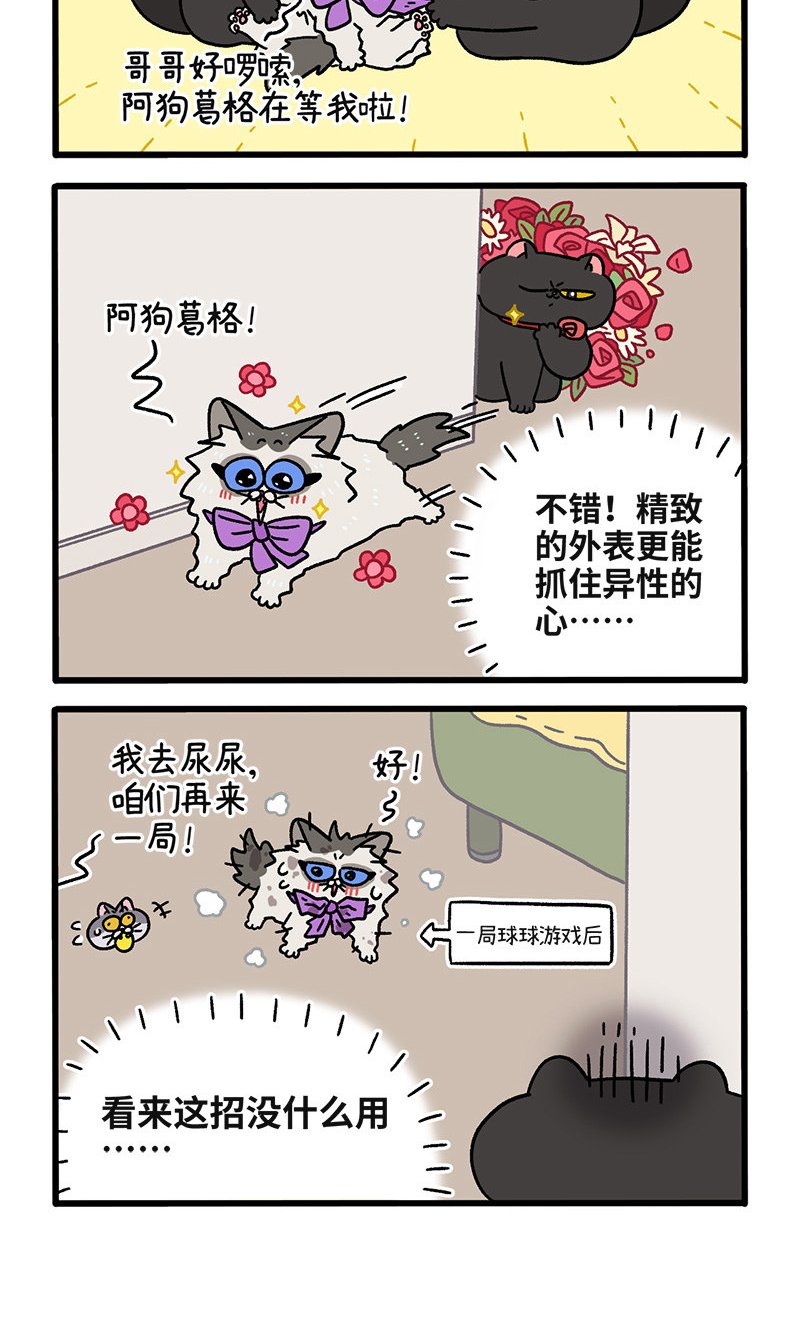 第106话1 助攻