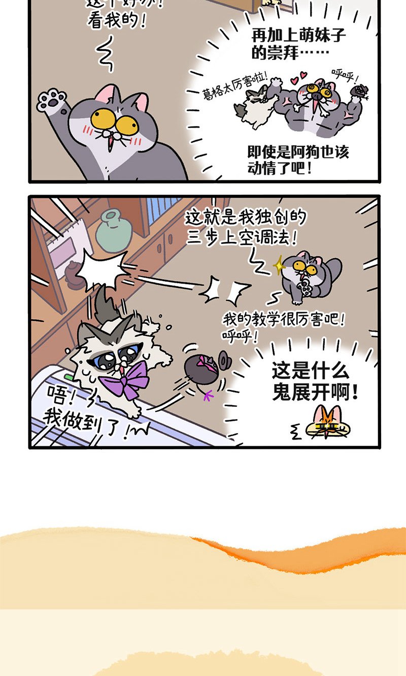 第106话1 助攻