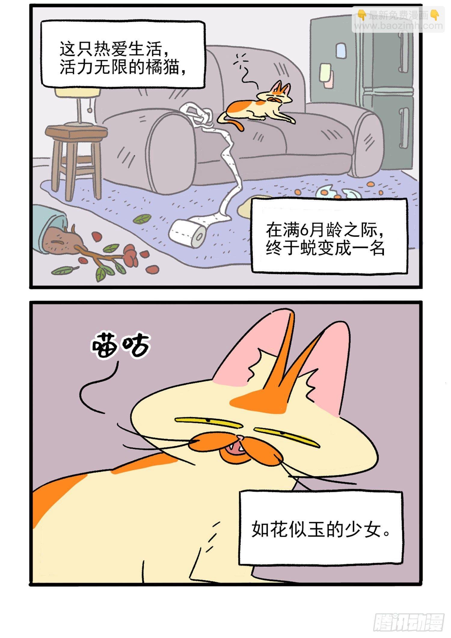 第1话 这是阿满和麦茶