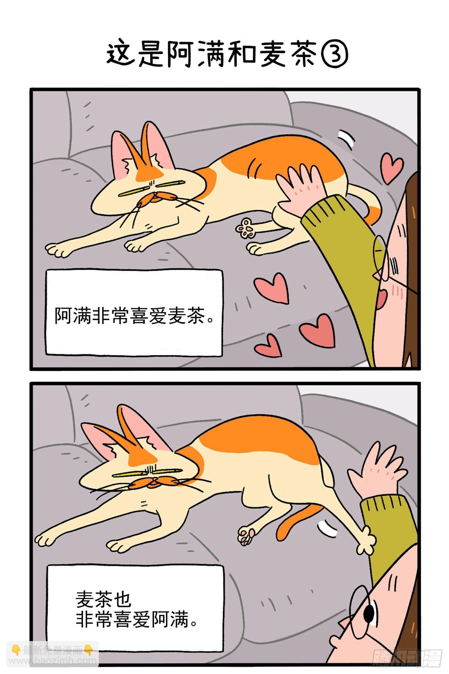 第1话 这是阿满和麦茶