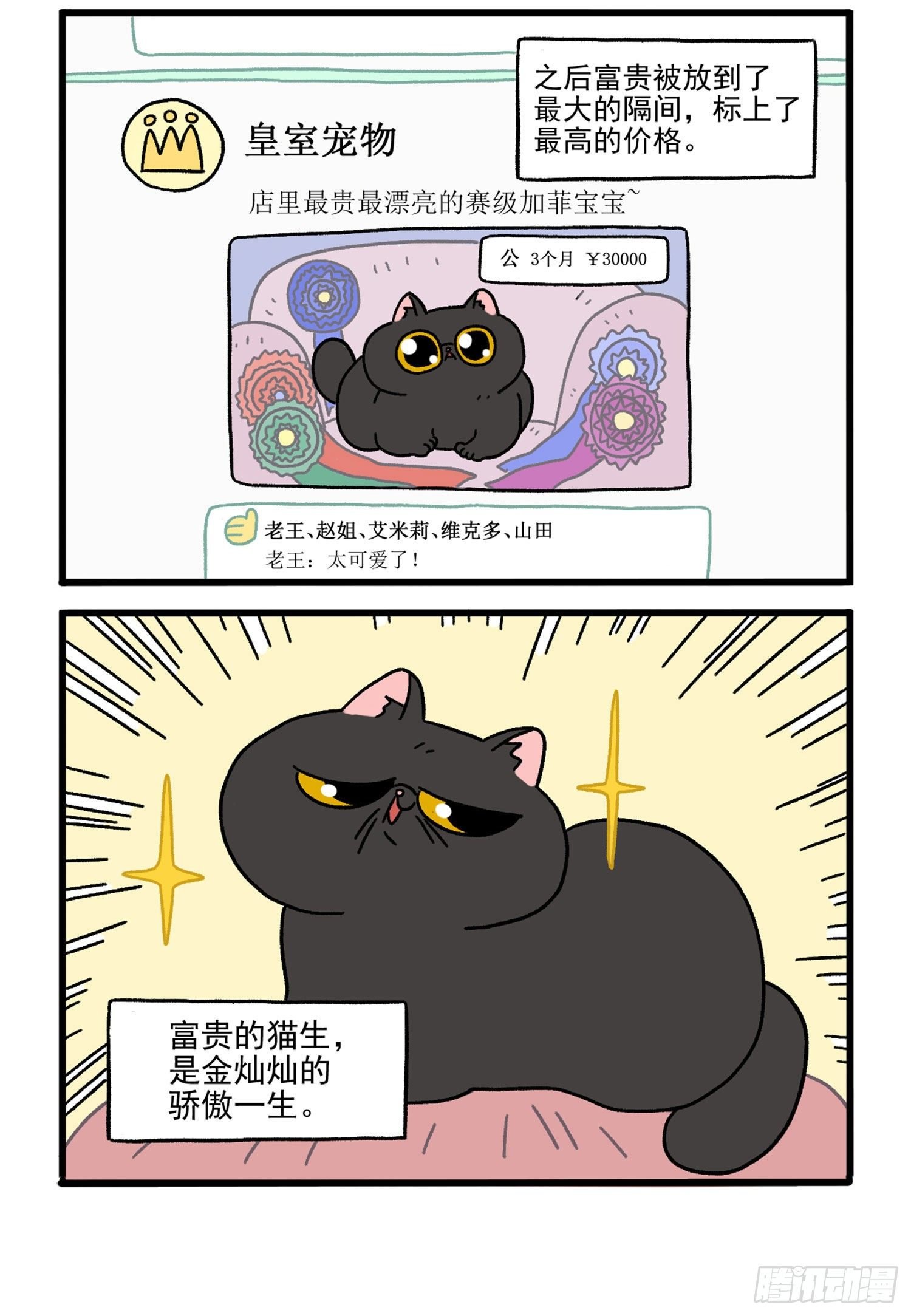 第15话 王富贵