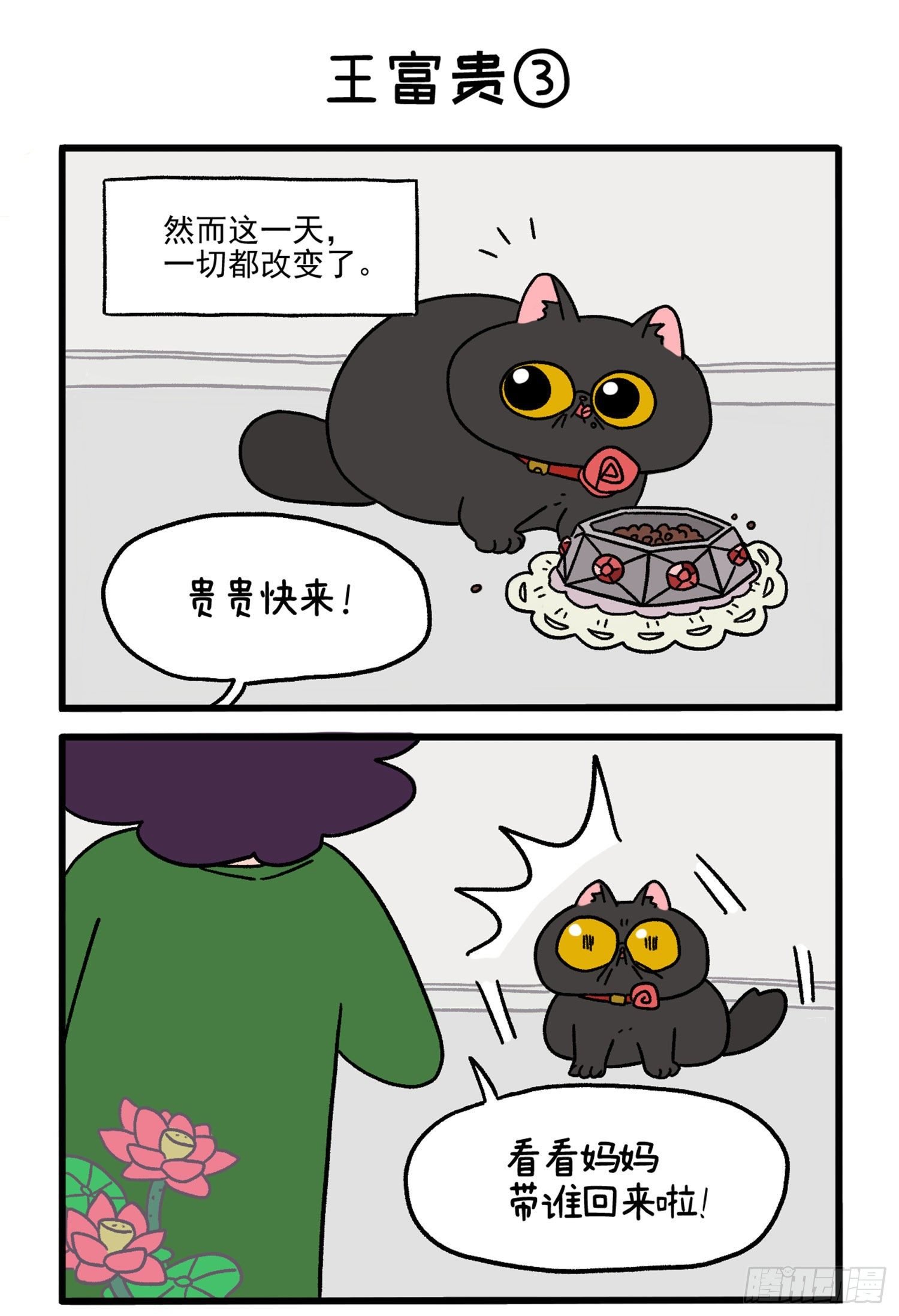 第15话 王富贵