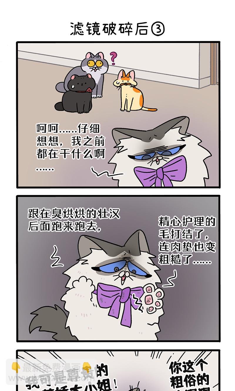 第108话1 滤镜破碎后