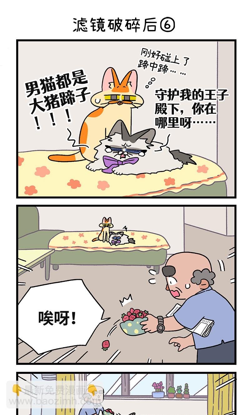 第108话2 滤镜破碎后