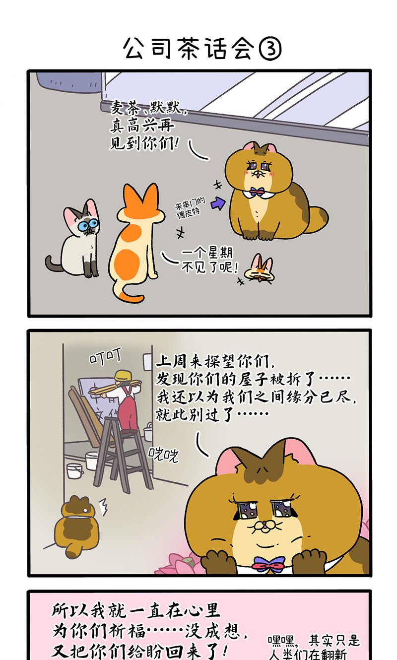 第110话1 公司茶话会