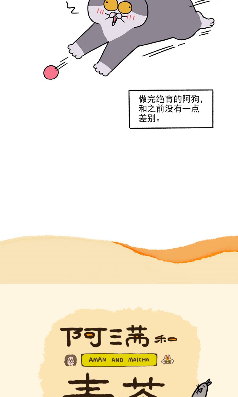 第110话2 公司茶话会