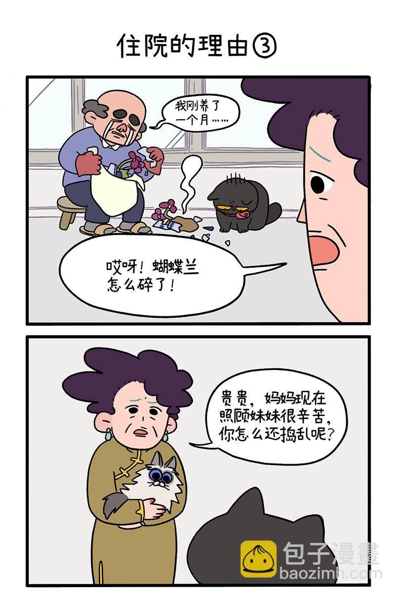 第16话1 住院的理由