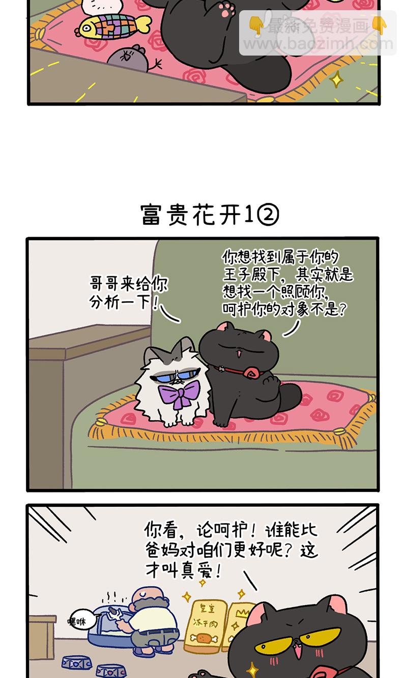 番外21上 富贵花开1