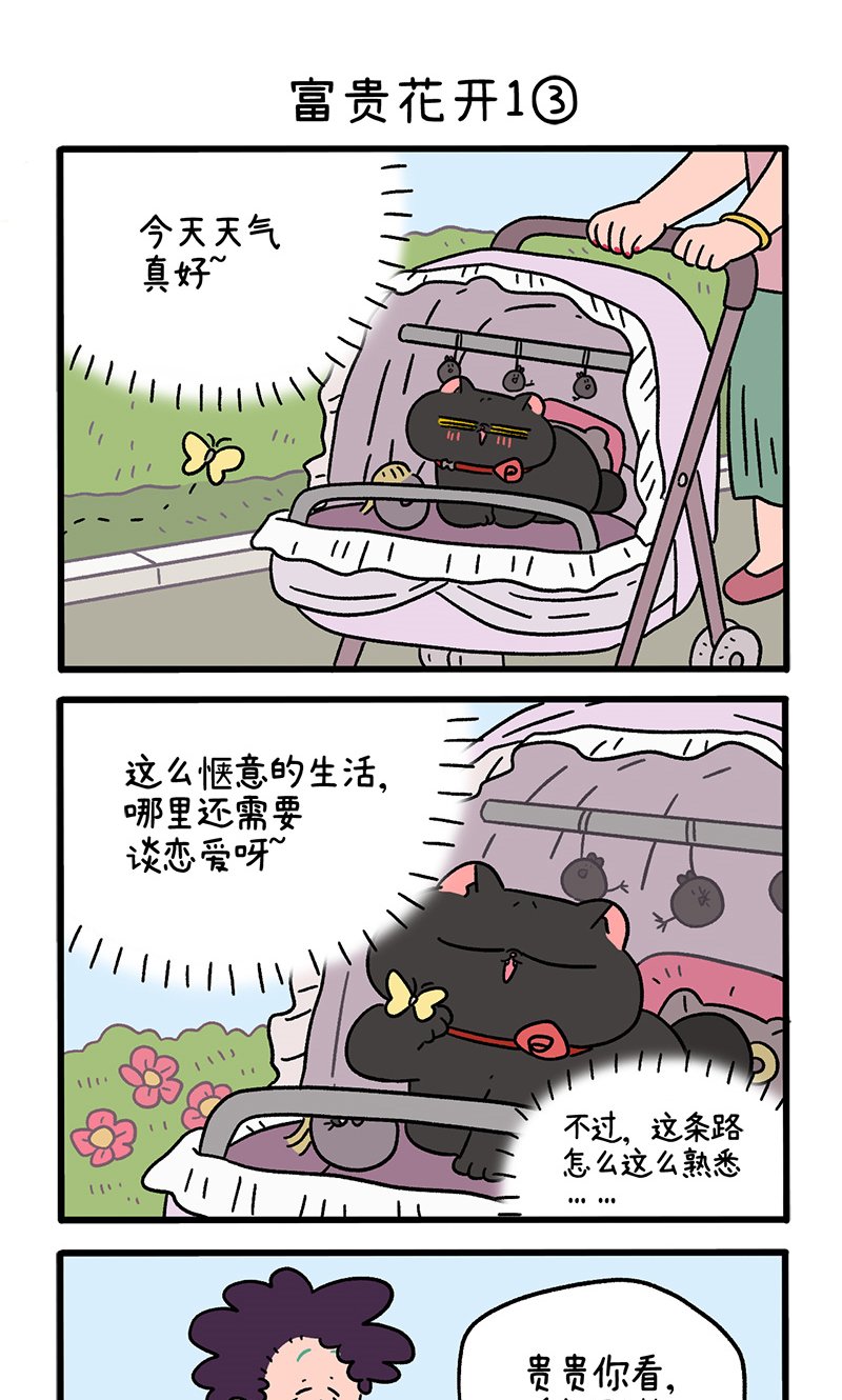 番外21上 富贵花开1