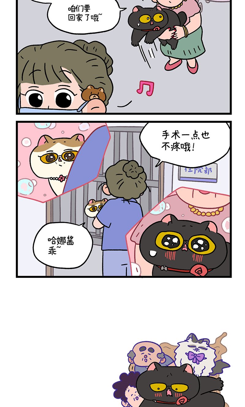 番外21下 富贵花开1