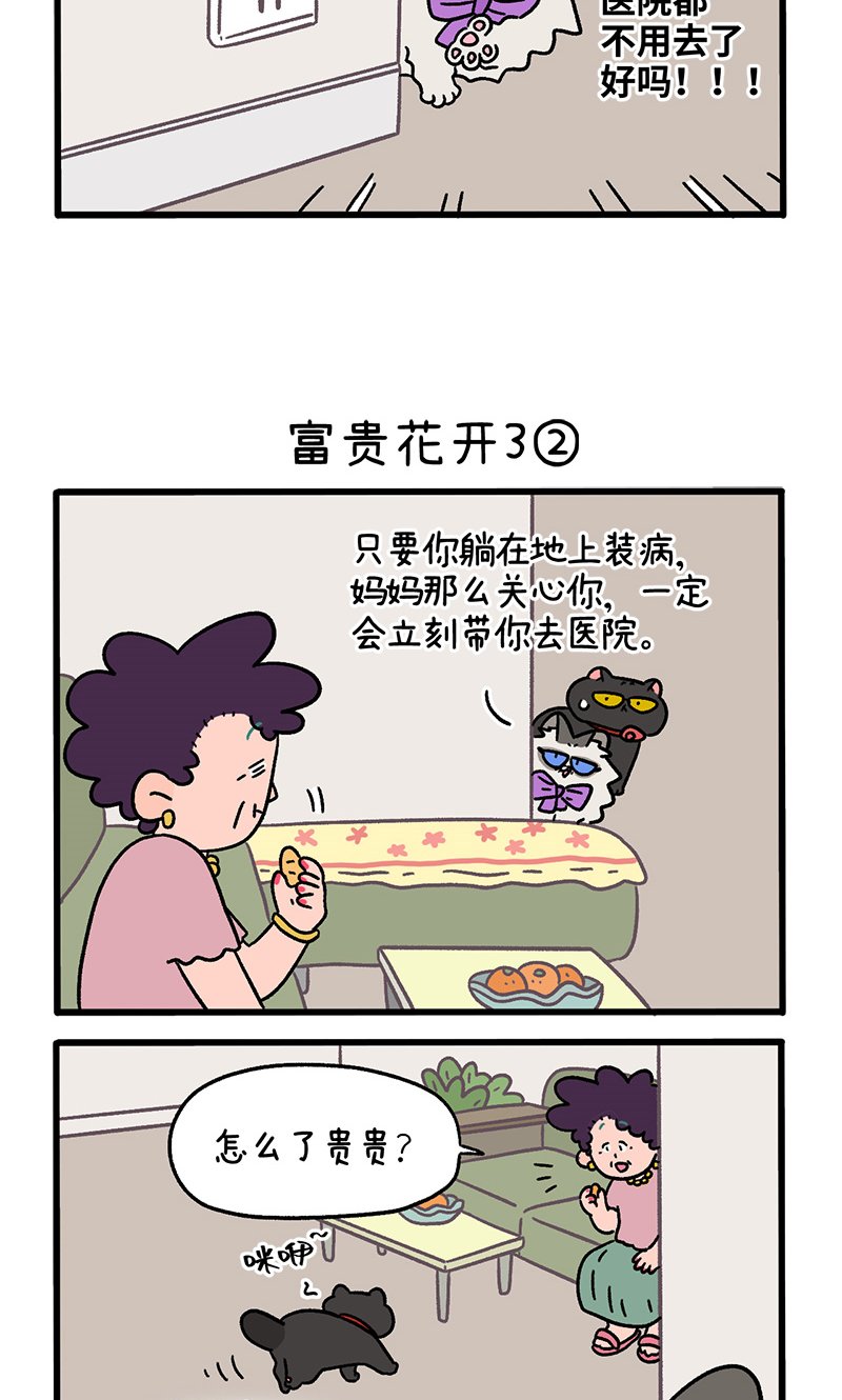 番外23上 富贵花开3