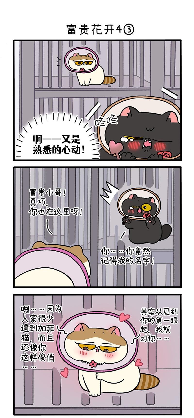 番外24上 富贵花开4